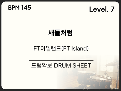 FT 아일랜드(FT Island) - 새들처럼 드럼 악보